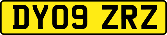 DY09ZRZ