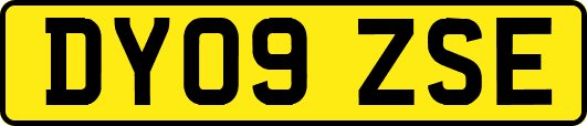 DY09ZSE