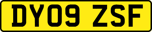 DY09ZSF