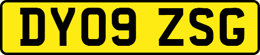 DY09ZSG