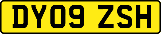 DY09ZSH