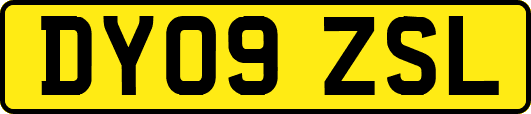 DY09ZSL