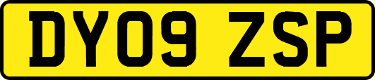 DY09ZSP