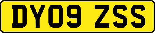 DY09ZSS