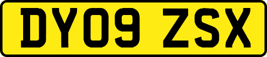 DY09ZSX