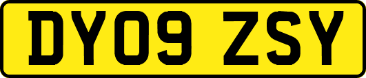DY09ZSY