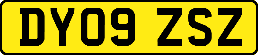DY09ZSZ
