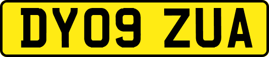 DY09ZUA
