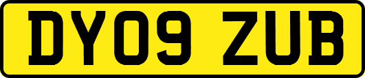 DY09ZUB