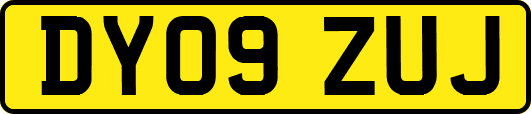 DY09ZUJ