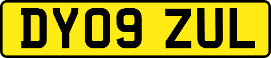 DY09ZUL