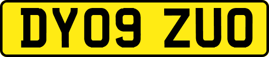 DY09ZUO