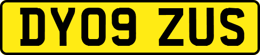 DY09ZUS