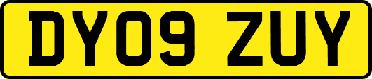 DY09ZUY