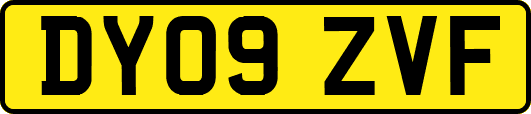 DY09ZVF