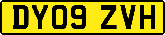 DY09ZVH