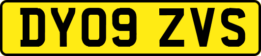 DY09ZVS