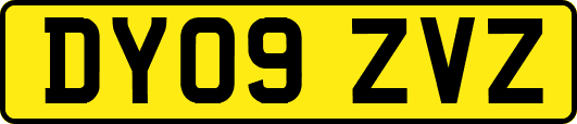 DY09ZVZ