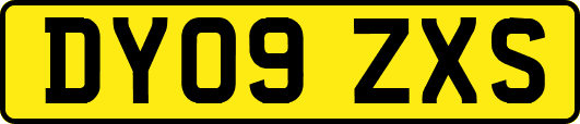 DY09ZXS