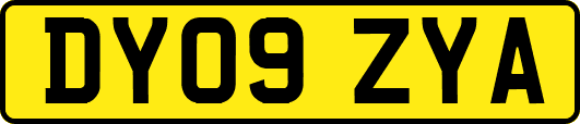 DY09ZYA