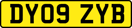 DY09ZYB
