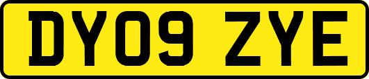 DY09ZYE
