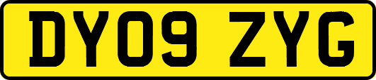 DY09ZYG