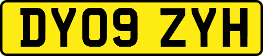 DY09ZYH