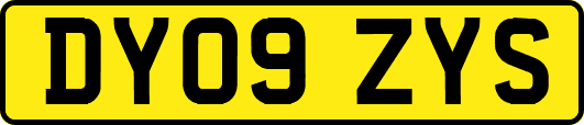 DY09ZYS