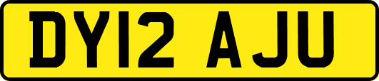 DY12AJU