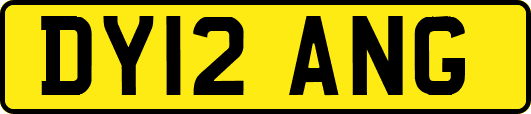 DY12ANG