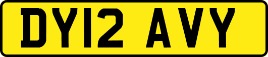 DY12AVY