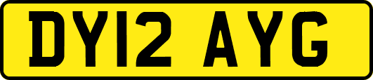 DY12AYG