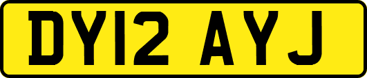 DY12AYJ