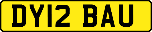 DY12BAU