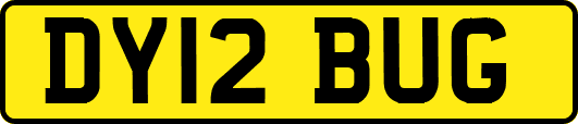 DY12BUG