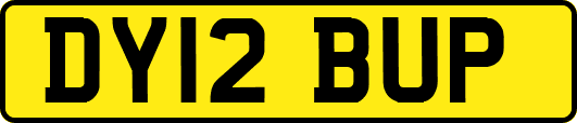 DY12BUP