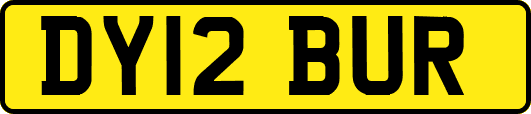 DY12BUR