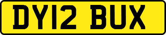 DY12BUX