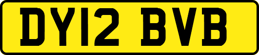 DY12BVB