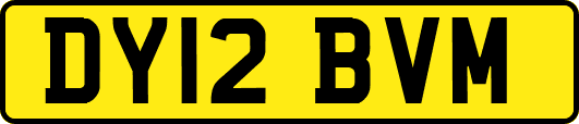 DY12BVM