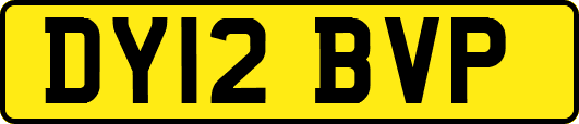 DY12BVP