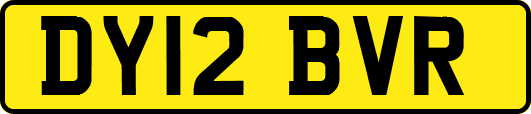 DY12BVR