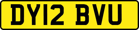 DY12BVU