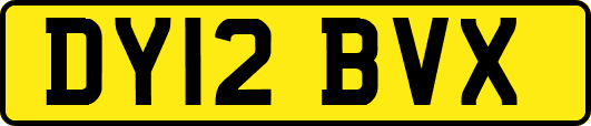 DY12BVX