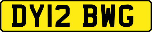 DY12BWG
