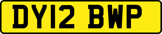 DY12BWP