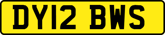 DY12BWS