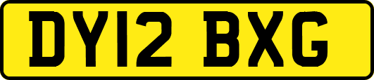 DY12BXG