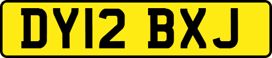 DY12BXJ
